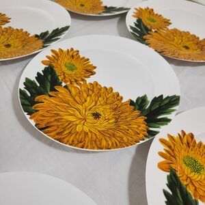 Crate & Barrel Chrysanthemum Mum Flower 8" Plates Set Of 8